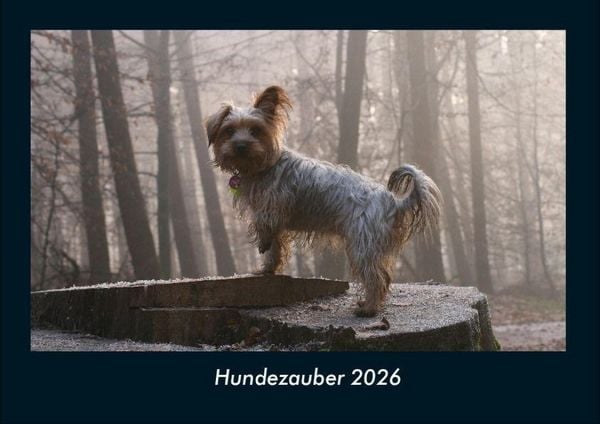 Hundezauber 2026 Fotokalender DIN A4