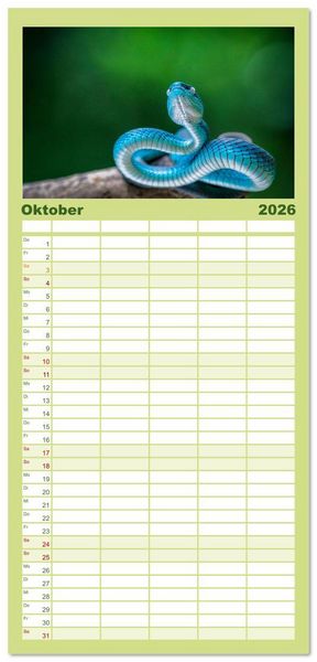 Produktbild: Familienplaner 2026 - Faszination Schlangen mit 5 Spalten (Wandkalender, 21 x 45 cm) CALVENDO