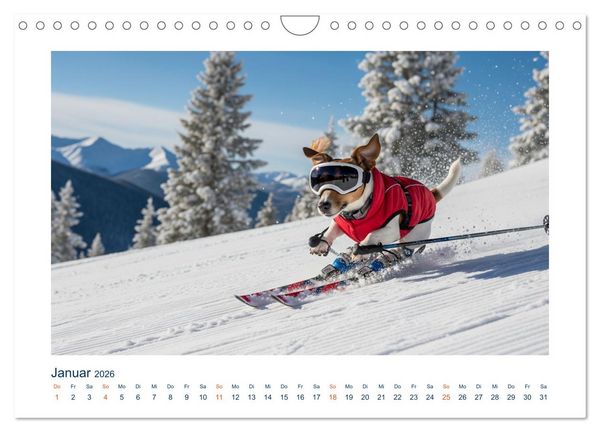 Produktbild: Jack Russel Active (Wandkalender 2026 DIN A4 quer), CALVENDO Monatskalender