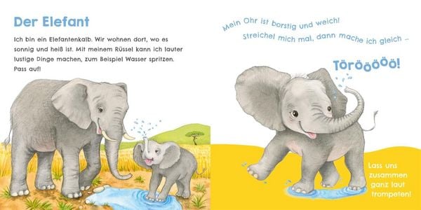 Produktbild: H&ouml;r mal, wie ich tr&ouml;ten kann (Mein erstes Streichel-Soundbuch 4)