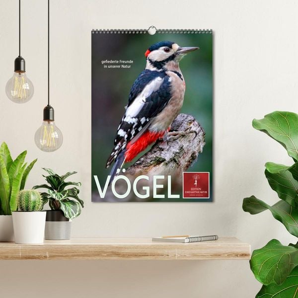 Produktbild: V&ouml;gel - gefiederte Freunde in unserer Natur (Wandkalender 2026 DIN A3 hoch), CALVENDO Monatskalender
