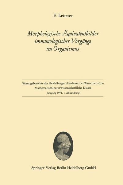 Produktbild: Morphologische &Auml;quivalentbilder immunologischer Vorg&auml;nge im Organismus