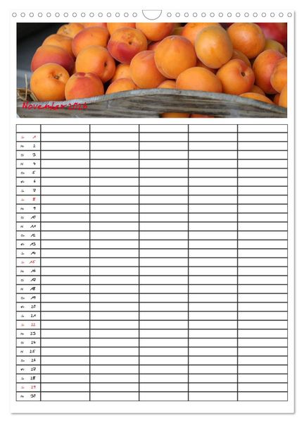 Produktbild: FOOD -Familienkalender (Wandkalender 2026 DIN A3 hoch), CALVENDO Monatskalender