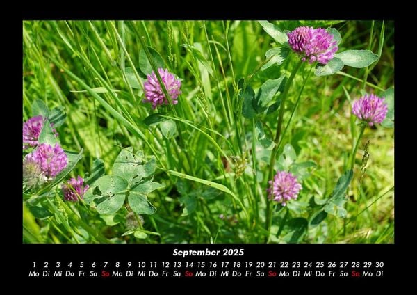 Produktbild: Bilder der Natur 2025 Fotokalender DIN A3