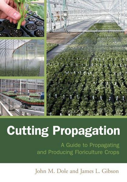 Produktbild: Cutting Propagation