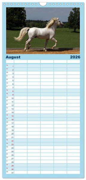 Produktbild: Familienplaner 2026 - Wei&szlig;e Pferde der Camargue in Bayern mit 5 Spalten (Wandkalender, 21 x 45 cm) CALVENDO