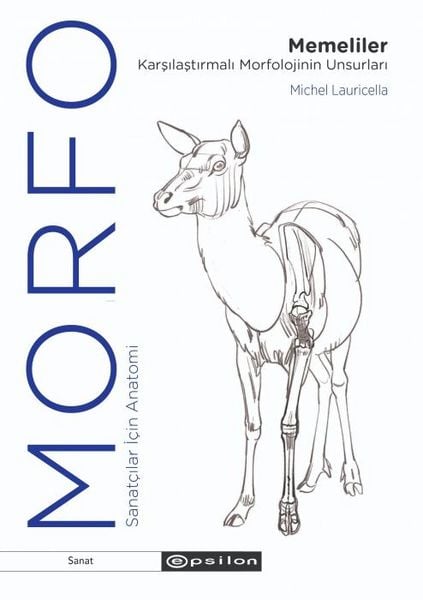 Produktbild: Morfo