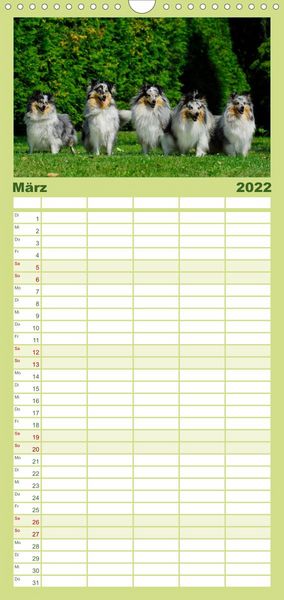 Produktbild: Sheltie 2022 - Familienplaner hoch (Wandkalender 2022 , 21 cm x 45 cm, hoch)