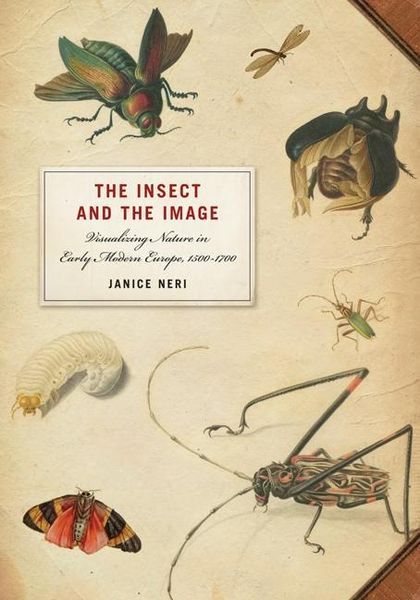 Produktbild: Neri, J: The Insect and the Image