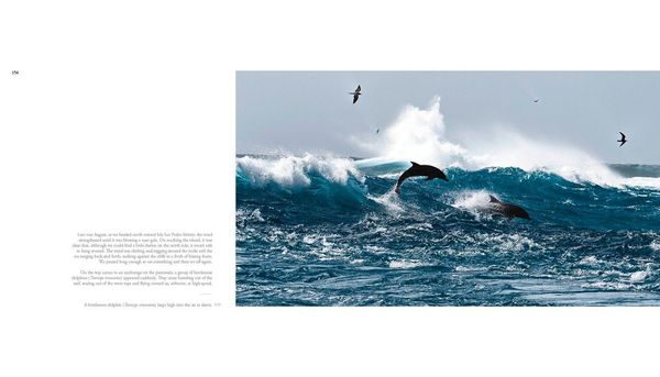 Produktbild: The Sea of Dreams