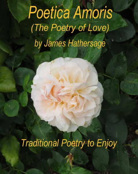 Produktbild: Poetica Amoris