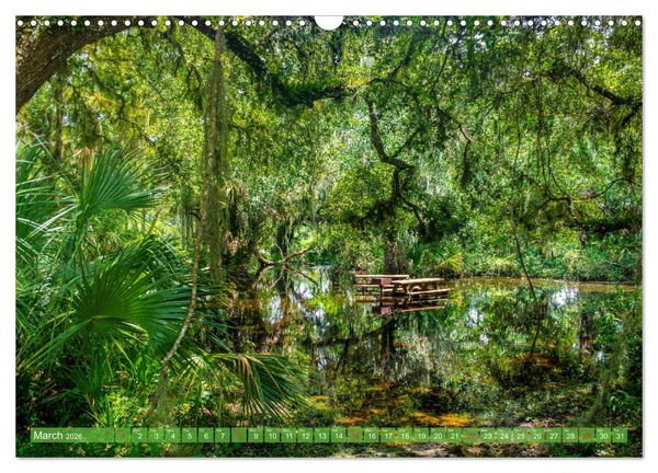 Produktbild: Florida &ndash; sunny beaches and mysterious swamps (Wall Calendar 2026 DIN A3 landscape), CALVENDO 12 Month Wall Calendar