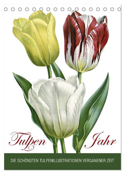 Tulpen - Jahr (Tischkalender 2026 DIN A5 hoch), CALVENDO Monatskalender
