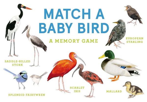 Produktbild: Match a Baby Bird