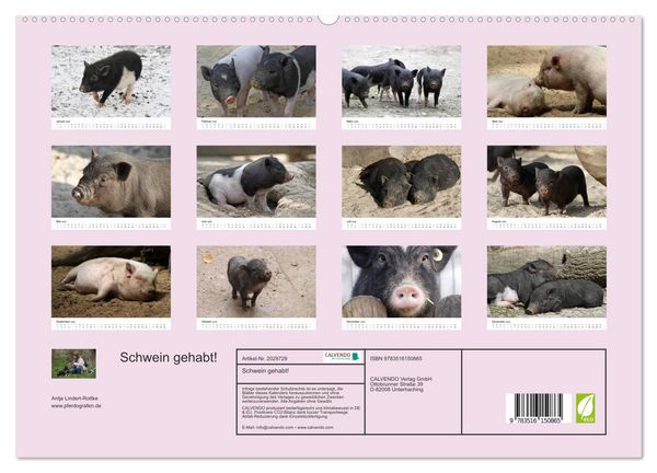Produktbild: Schwein gehabt! (hochwertiger Premium Wandkalender 2026 DIN A2 quer), Kunstdruck in Hochglanz