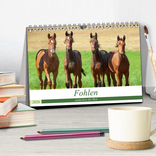 Produktbild: Fohlen entdecken die Welt (Tischkalender 2026 DIN A5 quer), CALVENDO Monatskalender