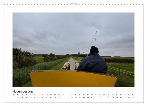 Produktbild: Die sch&ouml;ne Insel Neuwerk (Wandkalender 2026 DIN A3 quer), CALVENDO Monatskalender