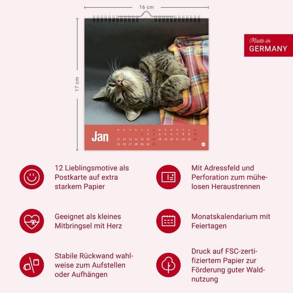 Produktbild: Tierisch entspannte Katzen Postkartenkalender 2027