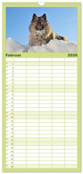 Produktbild: Familienplaner 2026 - Der Wolfsspitz mit 5 Spalten (Wandkalender, 21 x 45 cm) CALVENDO