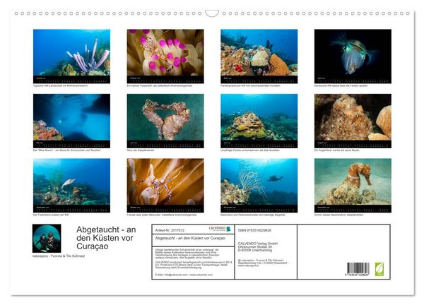 Produktbild: Abgetaucht - an den K&uuml;sten vor Cura&ccedil;ao (Wandkalender 2026 DIN A2 quer), CALVENDO Monatskalender