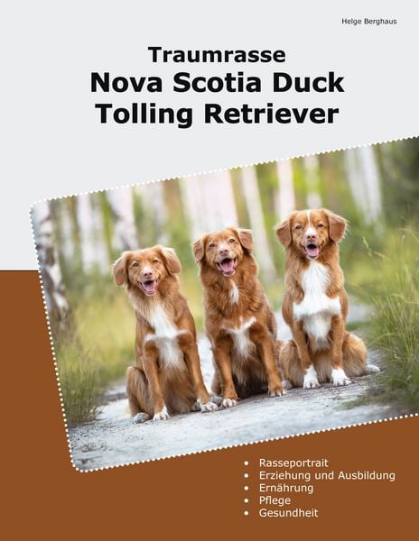 Produktbild: Traumrasse Nova Scotia Duck Tolling Retriever