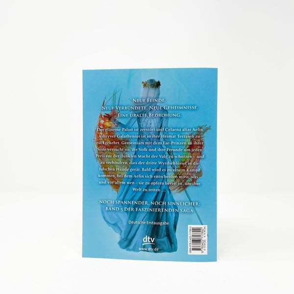 Die Sturmbezwingerin / Throne of Glass Bd. 5