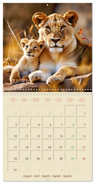 Produktbild: Let's go on Safari - Animal babies in Africa (Wall Calendar 2026 12 &times; 12 Inch) CALVENDO 12 Month Wall Calendar
