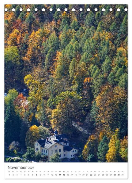 Produktbild: Wald - bezaubernde Landschaften (Tischkalender 2026 DIN A5 hoch), CALVENDO Monatskalender