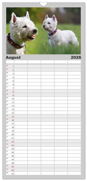 Produktbild: Familienplaner 2026 - West Highland White Terrier - Selbstbewustes Powerpaket - der Westie mit 5 Spalten (Wandkalender, 21 x 45 cm) CALVENDO