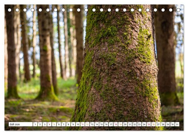 Produktbild: Natur hautnah Kalender (Tischkalender 2026 DIN A5 quer), CALVENDO Monatskalender