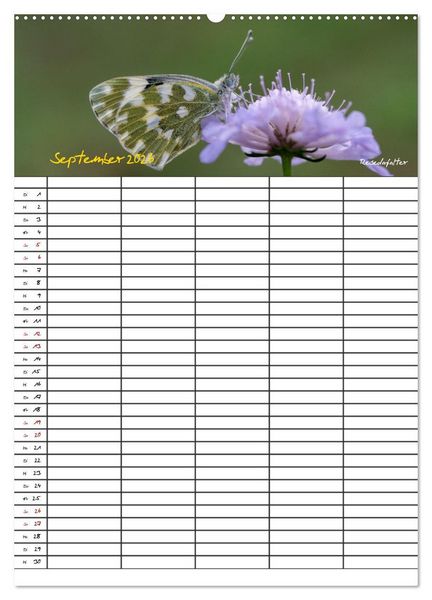 Produktbild: Schmetterlinge in Bayern (hochwertiger Premium Wandkalender 2026 DIN A2 hoch), Kunstdruck in Hochglanz