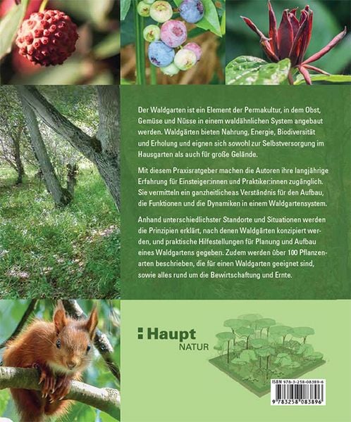 Produktbild: Praxisbuch Waldgarten