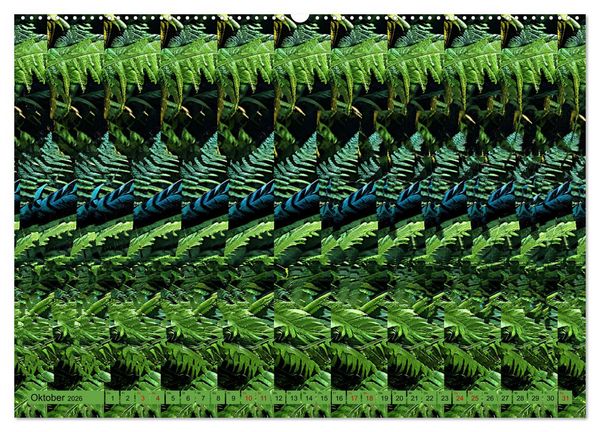 Produktbild: Magische Bilder - fantastische Stereogramme (hochwertiger Premium Wandkalender 2026 DIN A2 quer), Kunstdruck in Hochglanz