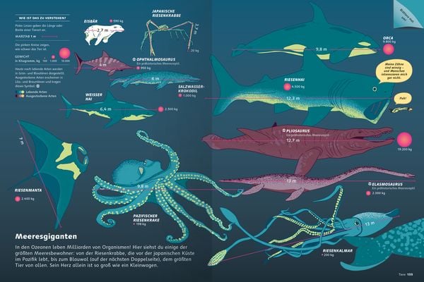Produktbild: Das große Buch der Infografiken