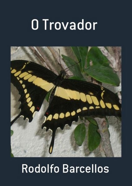 Produktbild: O Trovador