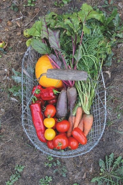 Produktbild: Besser naturbewusst leben