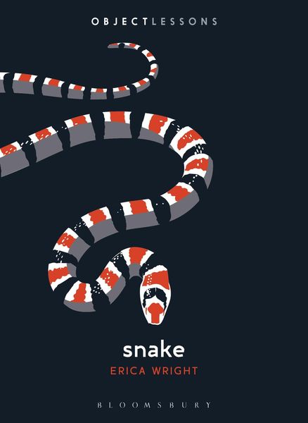 Produktbild: Snake