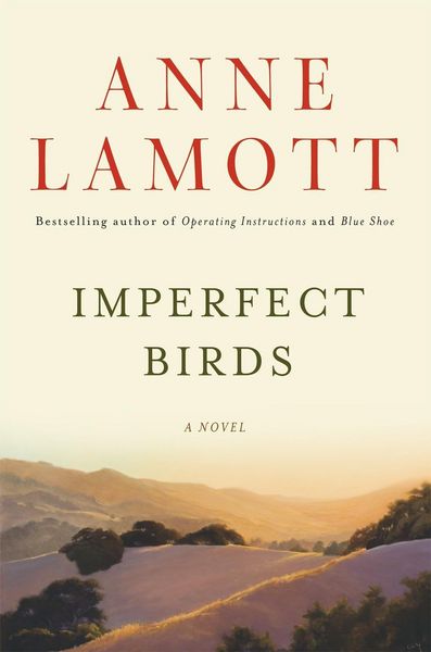 Produktbild: Imperfect Birds