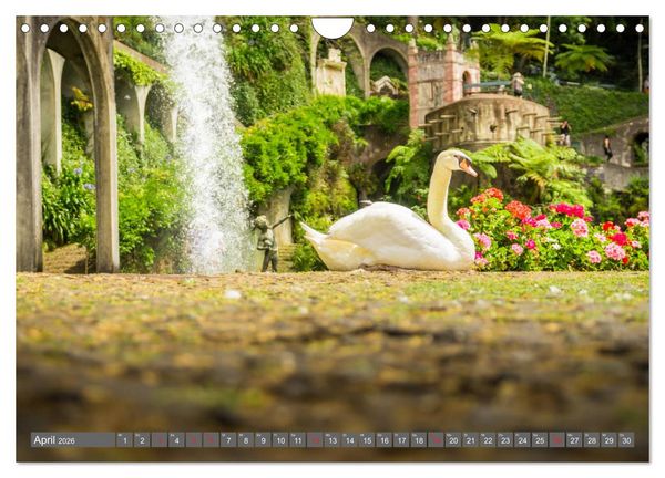 Produktbild: Madeira - Insel der Blumen 2026 (Wandkalender 2026 DIN A4 quer), CALVENDO Monatskalender