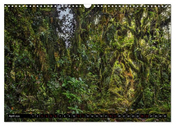 Produktbild: Trauminseln Neuseeland (Wandkalender 2026 DIN A3 quer), CALVENDO Monatskalender