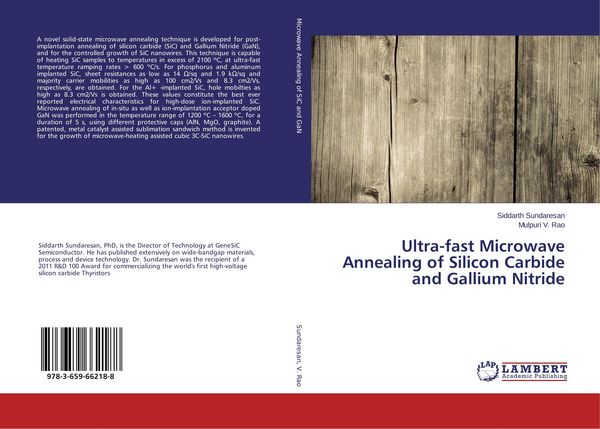 Produktbild: Ultra-fast Microwave Annealing of Silicon Carbide and Gallium Nitride