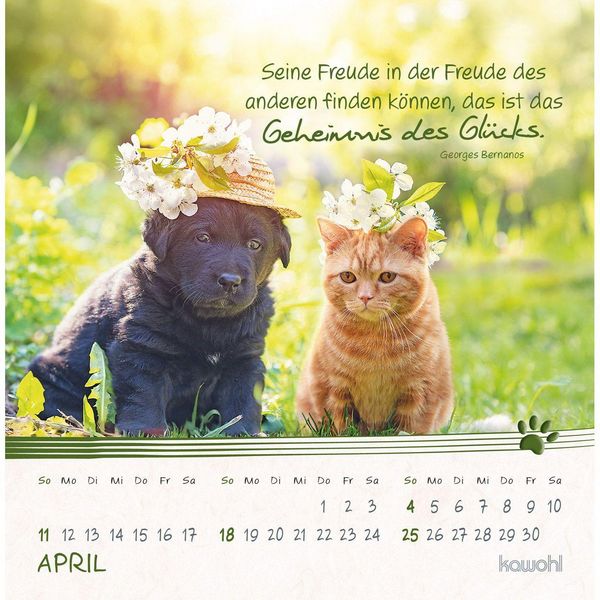 Produktbild: Kleine Katzen-Tatzen 2027