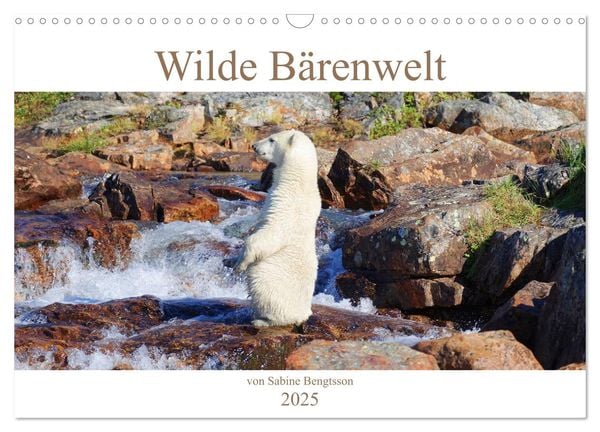 Wilde Bärenwelt (Wandkalender 2025 DIN A3 quer), CALVENDO Monatskalender