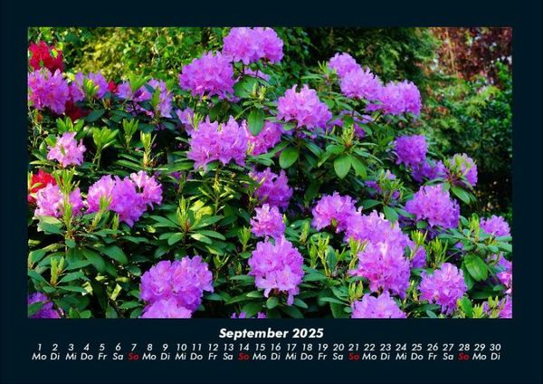 Produktbild: Blumentraum 2025 Fotokalender DIN A4