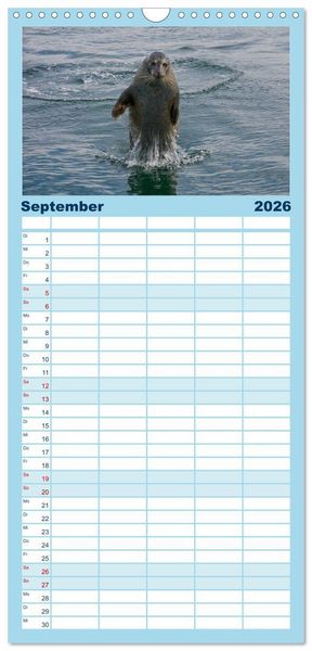 Produktbild: Familienplaner 2026 - Faszination Kegelrobben und Seehunde mit 5 Spalten (Wandkalender, 21 x 45 cm) CALVENDO
