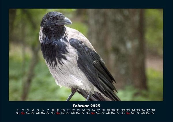 Produktbild: Vogelparadies 2025 Fotokalender DIN A4