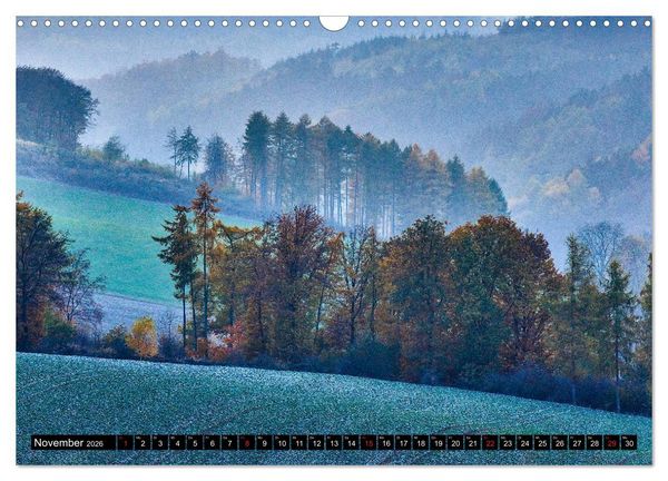 Produktbild: Arnsberger Wald (Wandkalender 2026 DIN A3 quer), CALVENDO Monatskalender