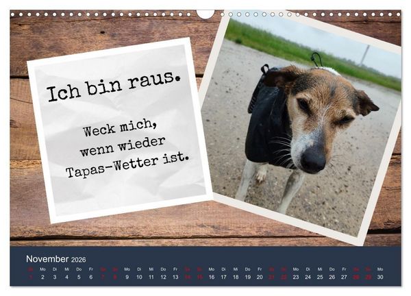 Produktbild: Ratonero Bodeguero Andaluz (Wandkalender 2026 DIN A3 quer), CALVENDO Monatskalender
