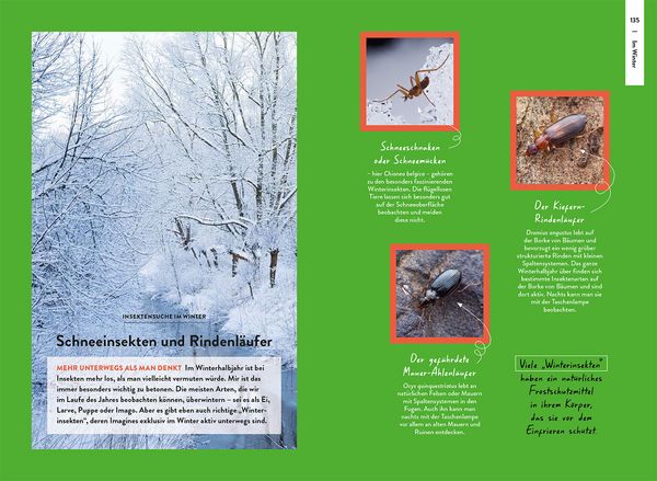 Produktbild: Nature Guide Insekten