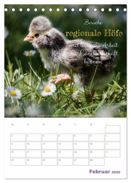 Produktbild: Tierische Challenges: F&uuml;r mehr Bewusstsein und mehr Tierschutz (Tischkalender 2026 DIN A5 hoch), CALVENDO Monatskalender